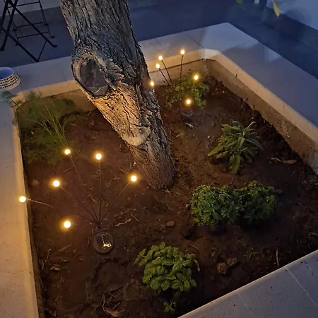 Casa Azzurra - Casa Dell'ulivo